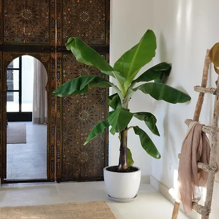 Hotel Cal Reiet Holistic Retreat 4*